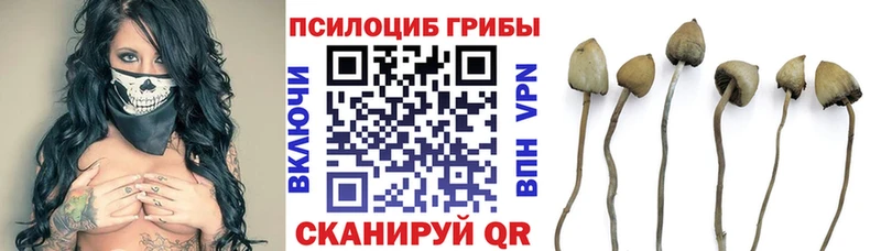 Галлюциногенные грибы ЛСД darknet какой сайт Ступино купить сайты
